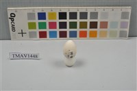 小河原鶸卵藏品圖，第7張